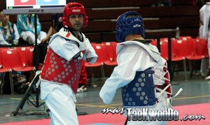 Para-TaekwondoKyorugui_2013